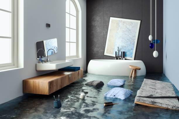 Best Commercial water damage restoration  in Buffalo Center, IA