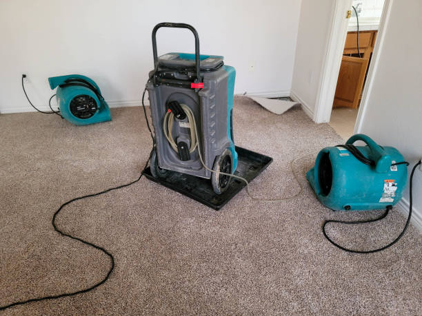 Best Basement water damage restoration  in Buffalo Center, IA