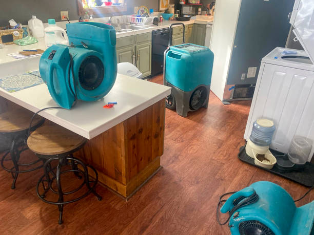 Best Ceiling water damage repair  in Buffalo Center, IA