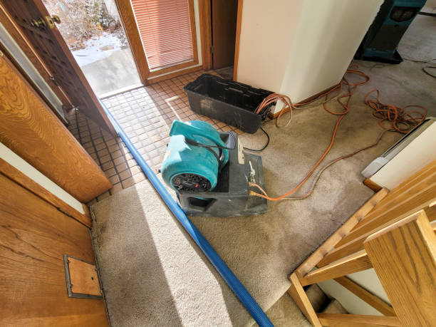 Best Sewage cleanup and water damage restoration  in Buffalo Center, IA