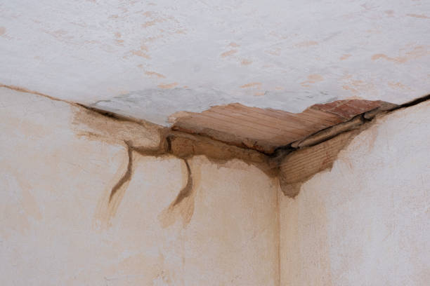 Best Emergency water damage restoration  in Buffalo Center, IA