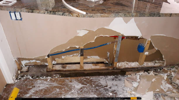 Best Carpet water damage restoration  in Buffalo Center, IA