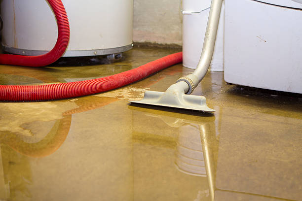 Best Water damage restoration experts  in Buffalo Center, IA