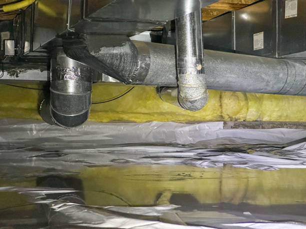 Best Water damage repair service  in Buffalo Center, IA